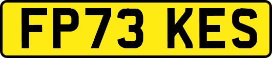 FP73KES