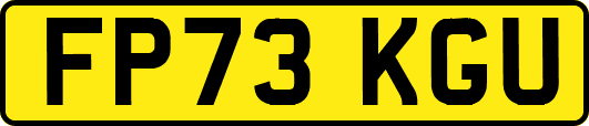 FP73KGU