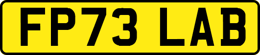 FP73LAB