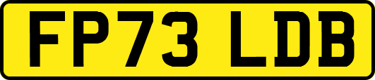 FP73LDB