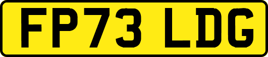 FP73LDG