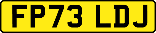 FP73LDJ