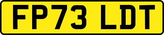 FP73LDT