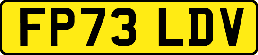 FP73LDV