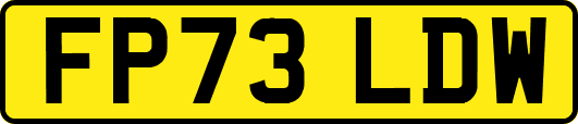 FP73LDW