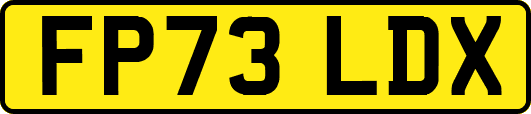 FP73LDX
