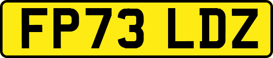 FP73LDZ