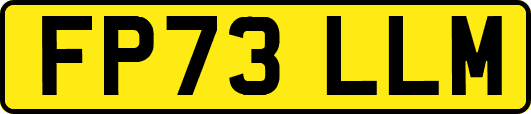 FP73LLM
