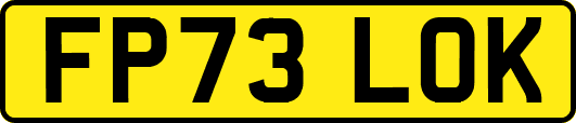 FP73LOK