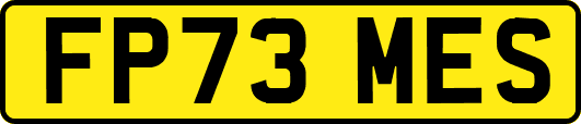 FP73MES