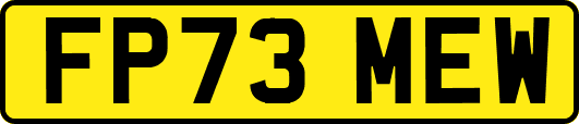 FP73MEW