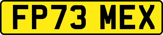 FP73MEX