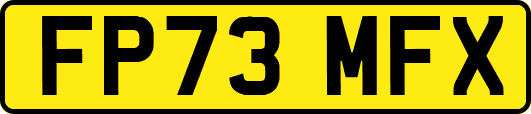 FP73MFX