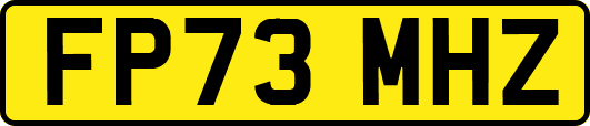 FP73MHZ