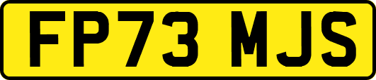 FP73MJS