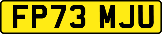 FP73MJU