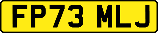 FP73MLJ