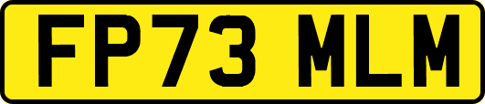 FP73MLM