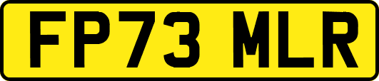 FP73MLR