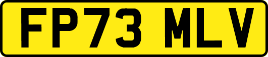FP73MLV