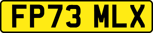 FP73MLX