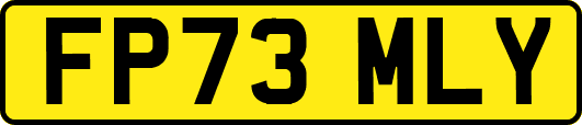 FP73MLY