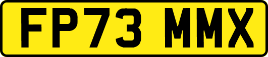 FP73MMX