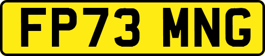FP73MNG