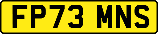 FP73MNS