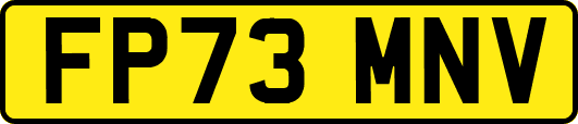 FP73MNV