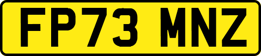 FP73MNZ