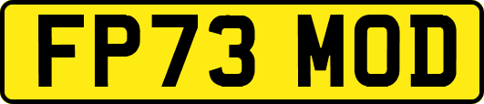 FP73MOD