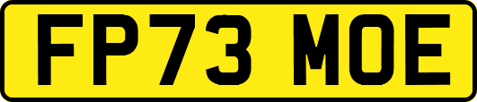 FP73MOE