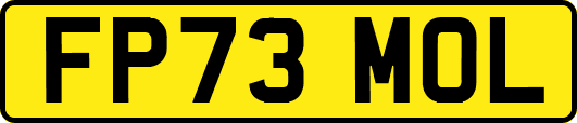 FP73MOL
