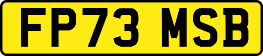 FP73MSB