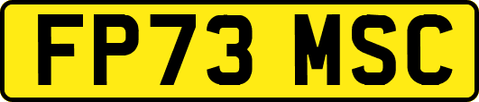 FP73MSC