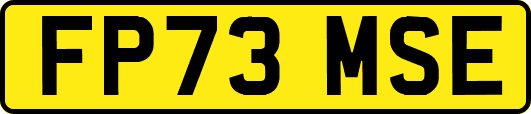 FP73MSE