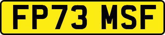 FP73MSF