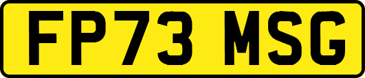 FP73MSG