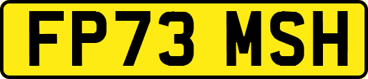 FP73MSH