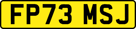 FP73MSJ