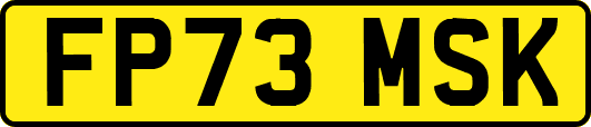 FP73MSK