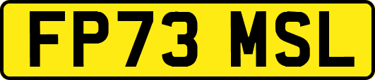 FP73MSL