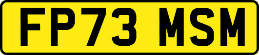 FP73MSM