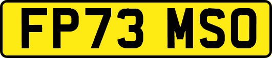 FP73MSO