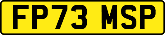 FP73MSP