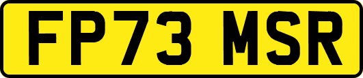 FP73MSR