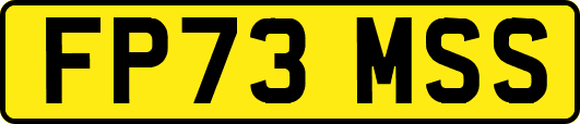 FP73MSS