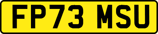 FP73MSU
