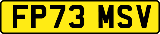 FP73MSV